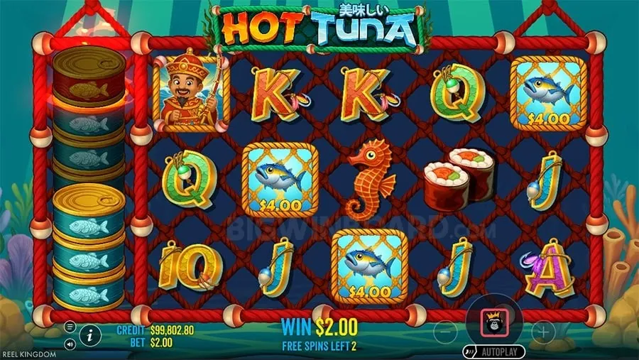 Diverse game selection with slot machines and live dealer tables